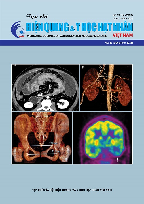 Vietnamese journal of radiology and nuclear medicine